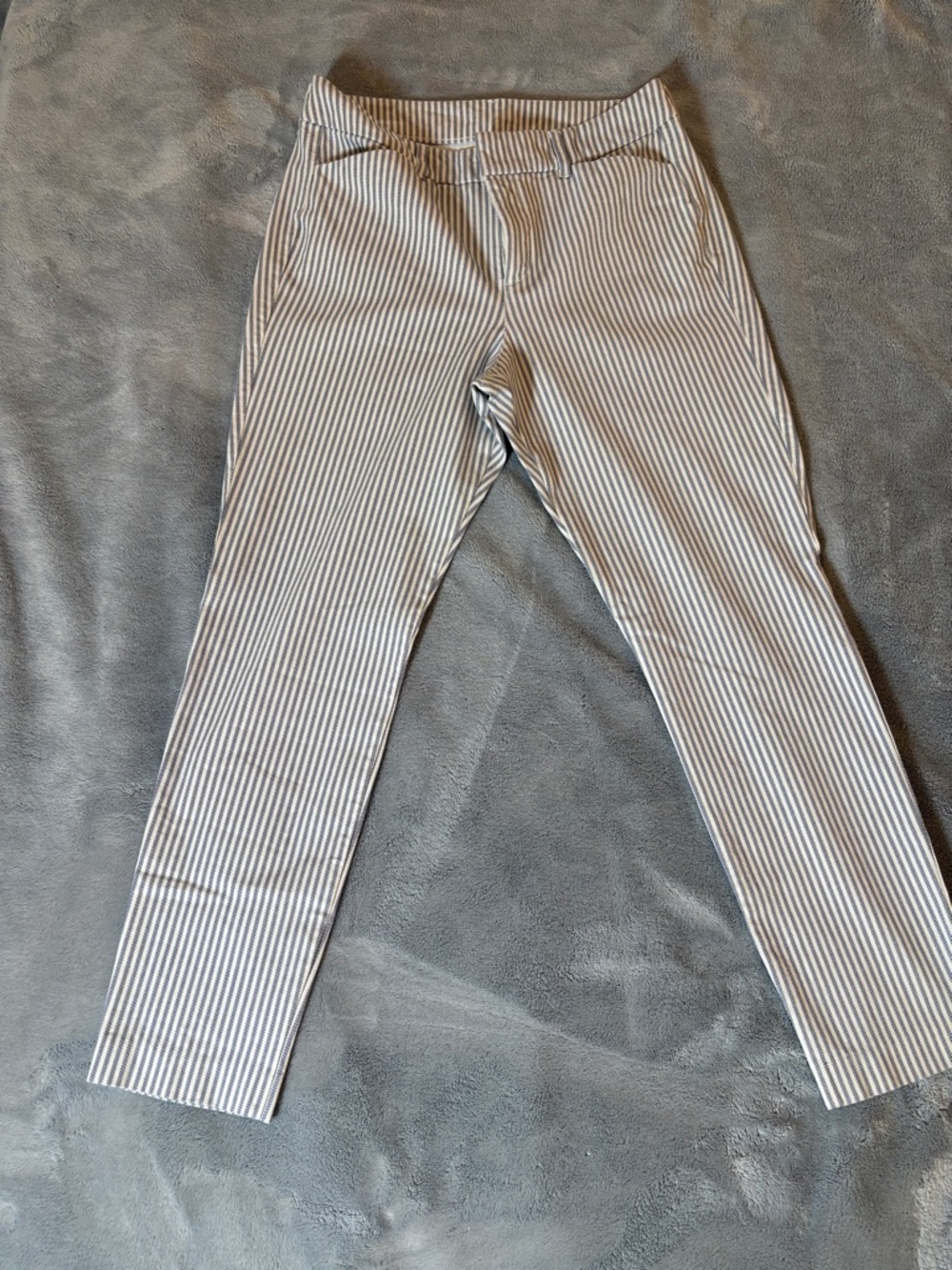 Striped Ankle Pants in Navy and White